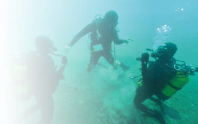 L’école de plongée de Saint-Mandrier recrute des moniteurs de plongée !